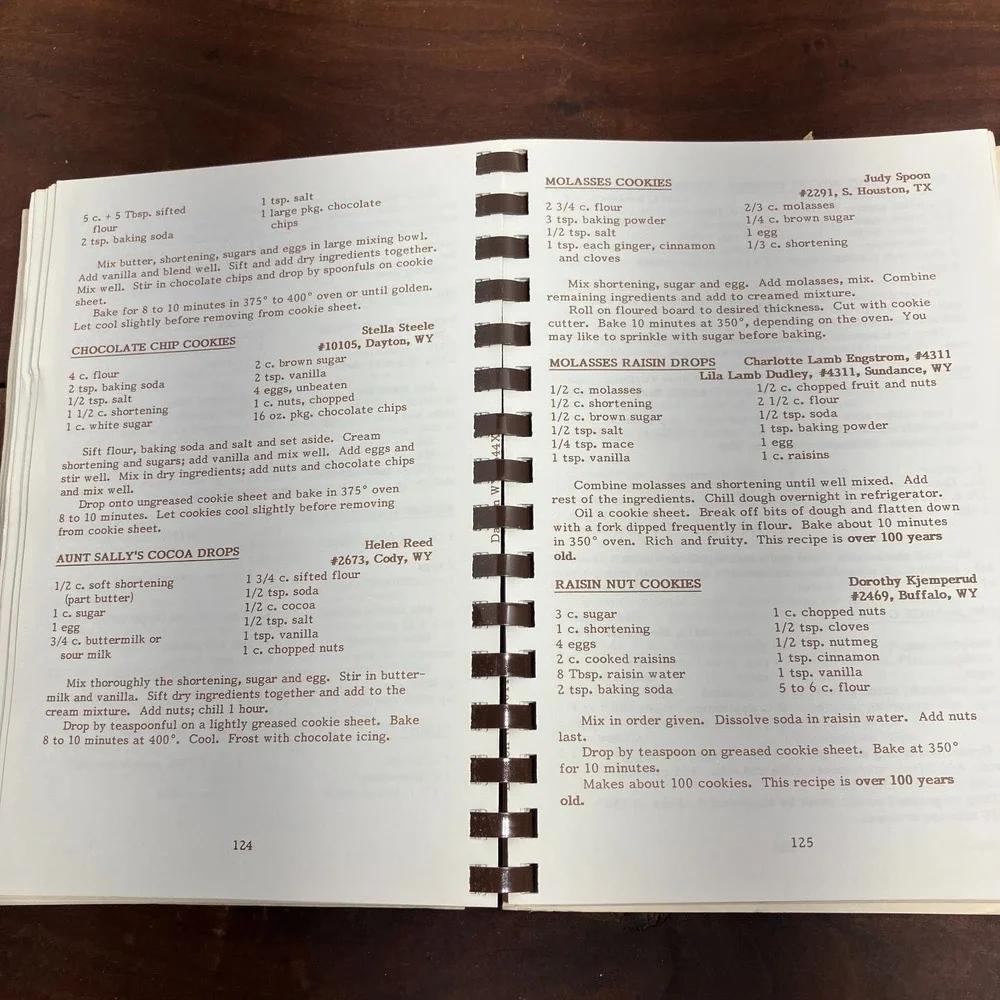 VTG VFW Ladies Auxiliary Wyoming Regional Cookbook 1990 Centennial Edition Comb